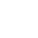 Shopify Icon